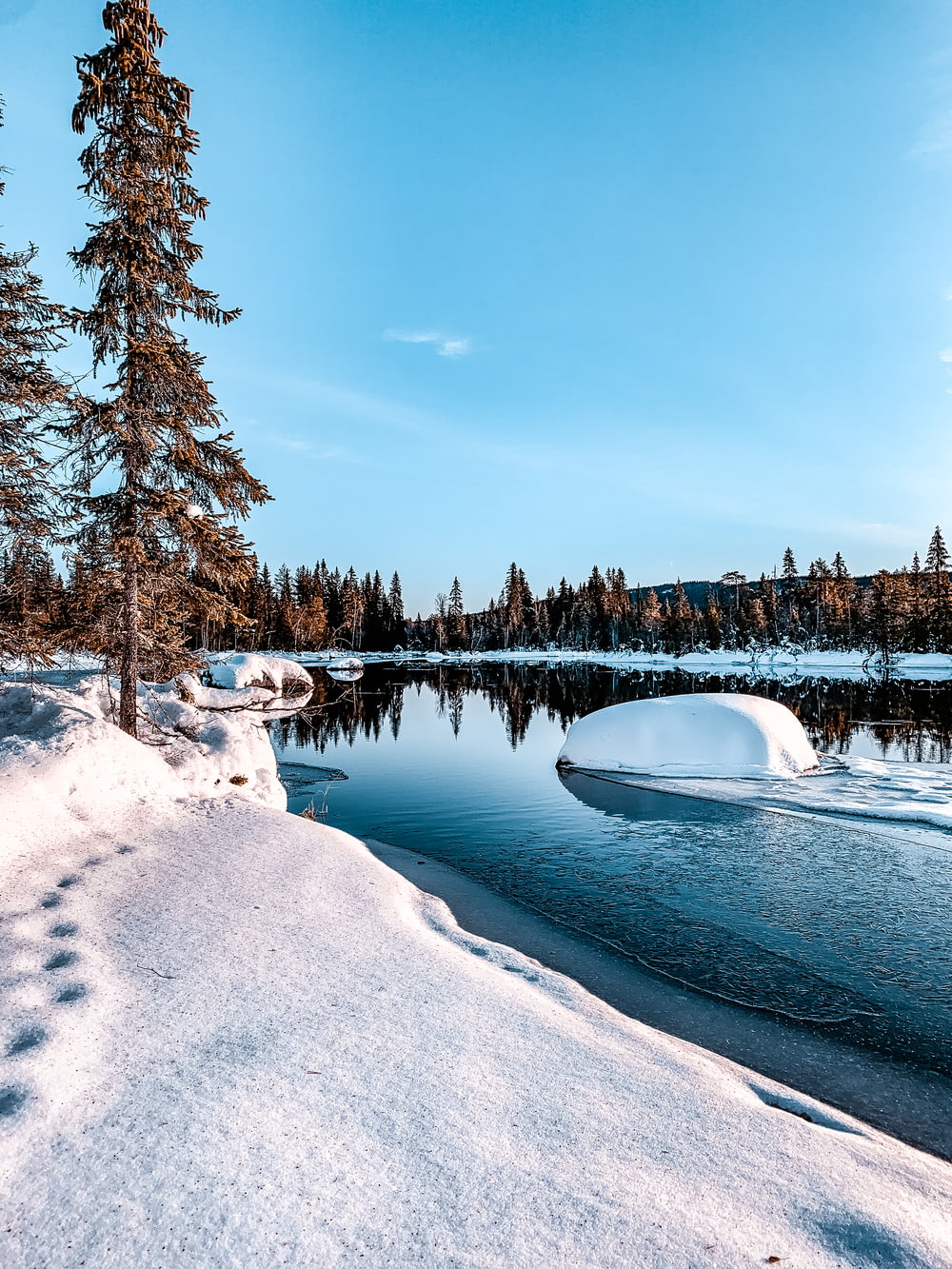 white boat on snow covered ground near trees during daytime