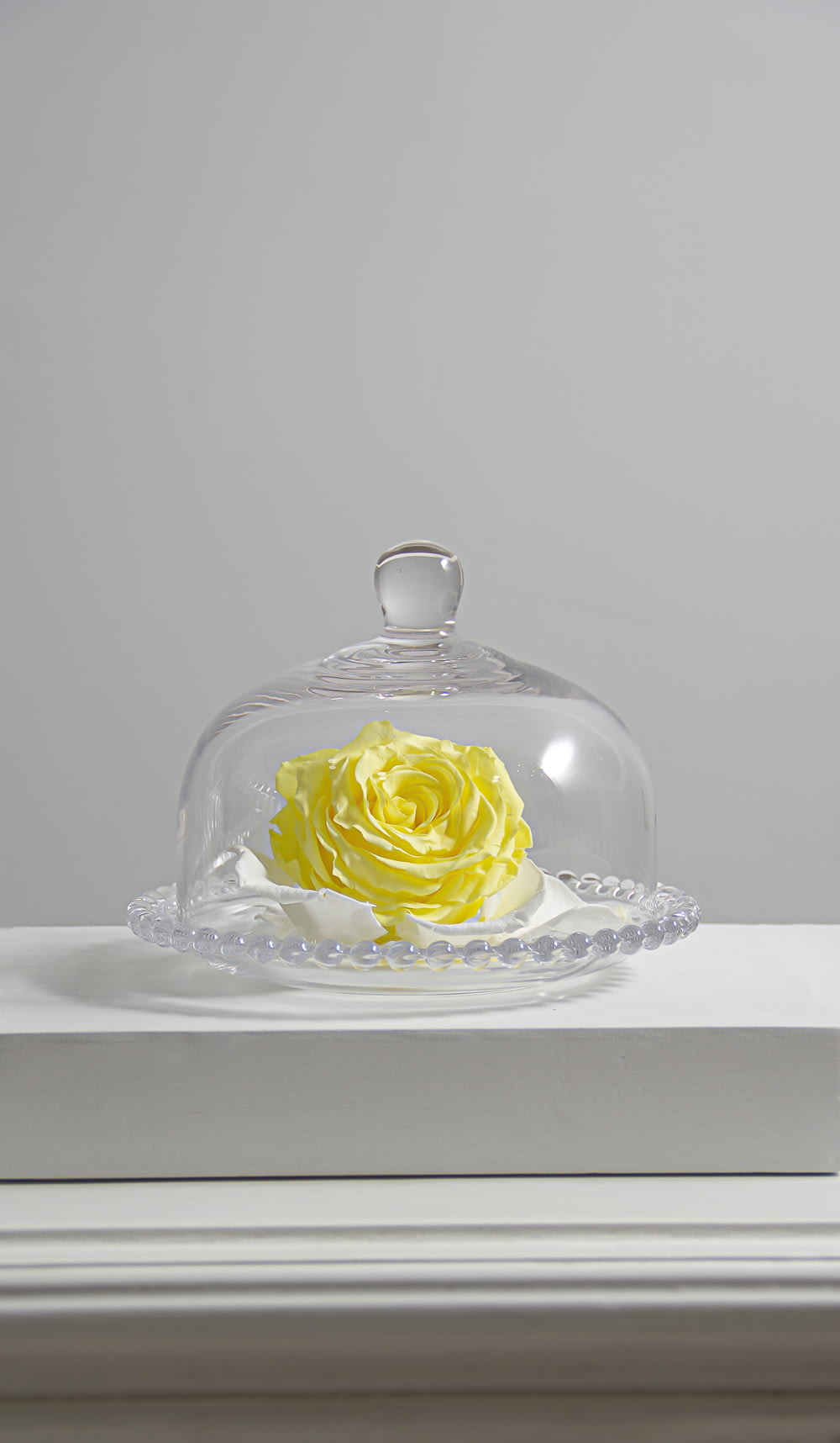 clear glass cake dome on white table