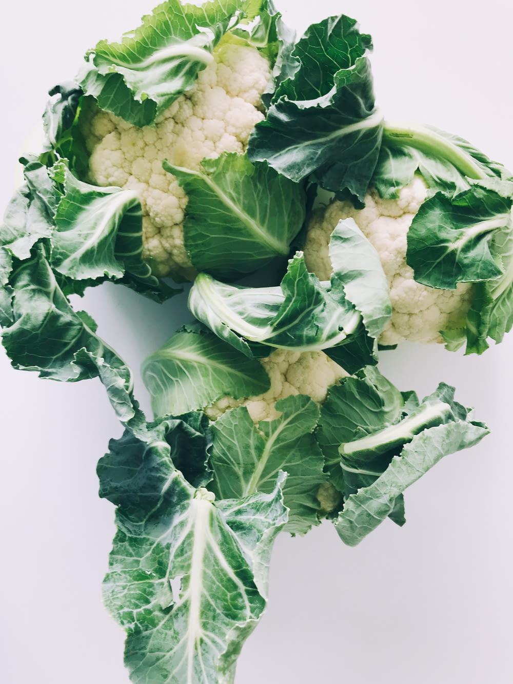 verdura verde y blanca sobre superficie blanca