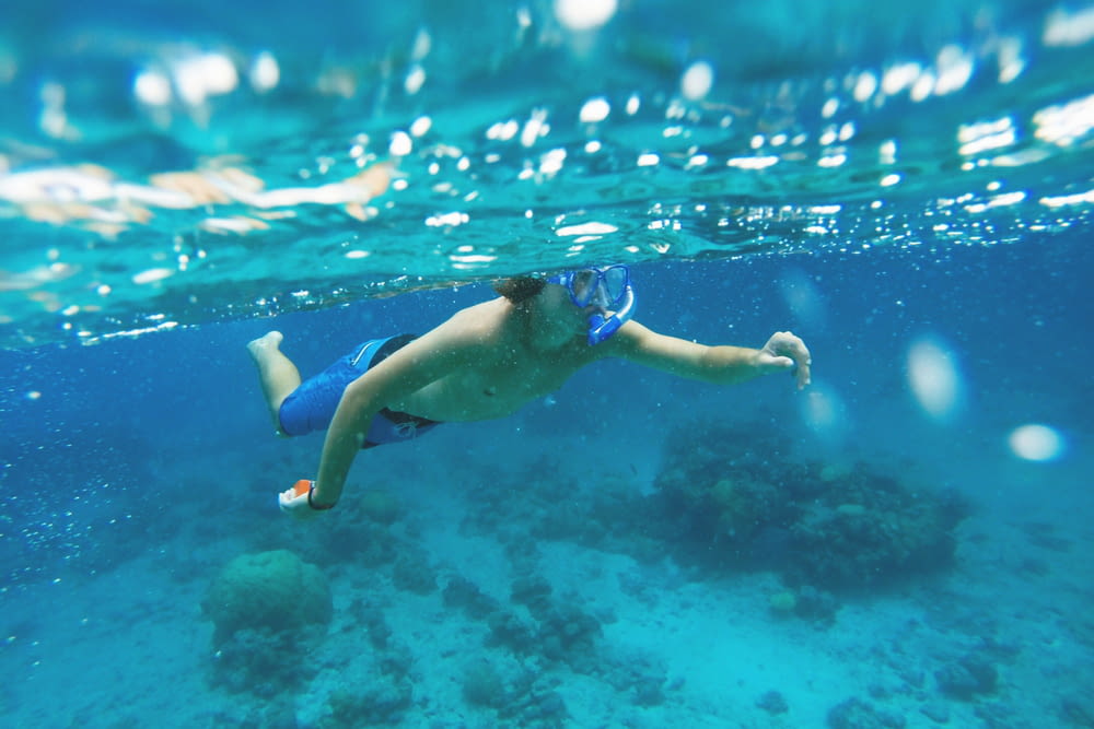 woman in blue and white bikini swimming in water