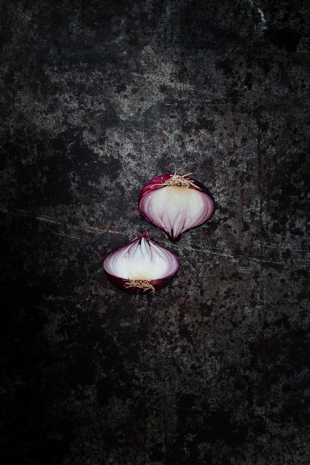 fiore viola e bianco su superficie nera