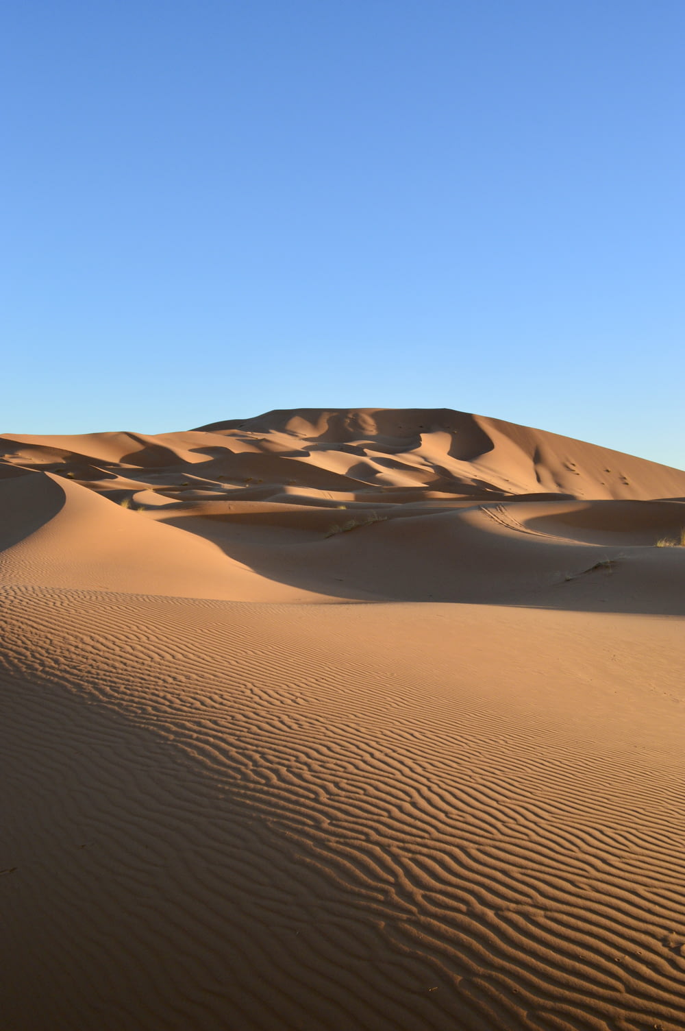 dune di sabbia marrone sotto il cielo blu durante il giorno