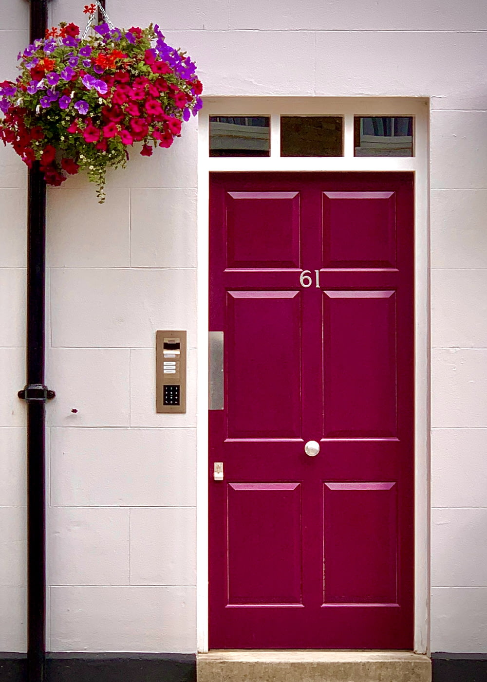 분홍색 꽃과 빨간 나무 문