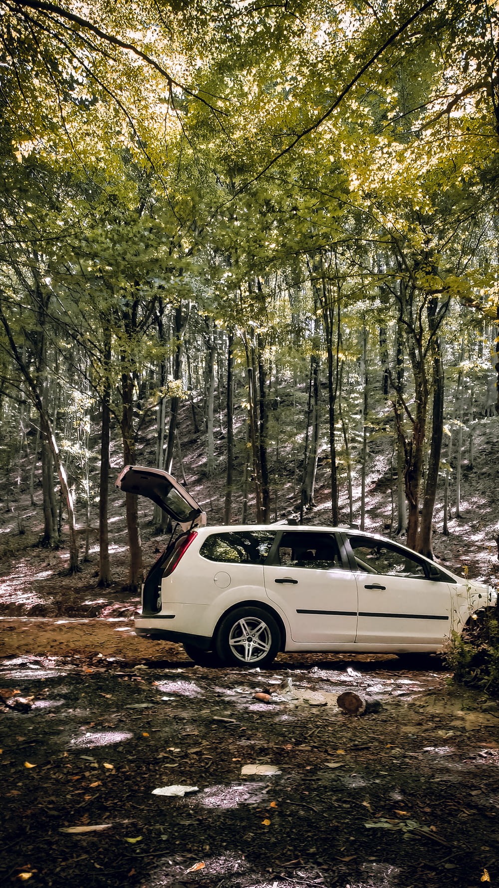 white suv in the woods