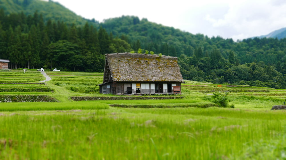 brown wooden house on green grass field near green trees during daytime