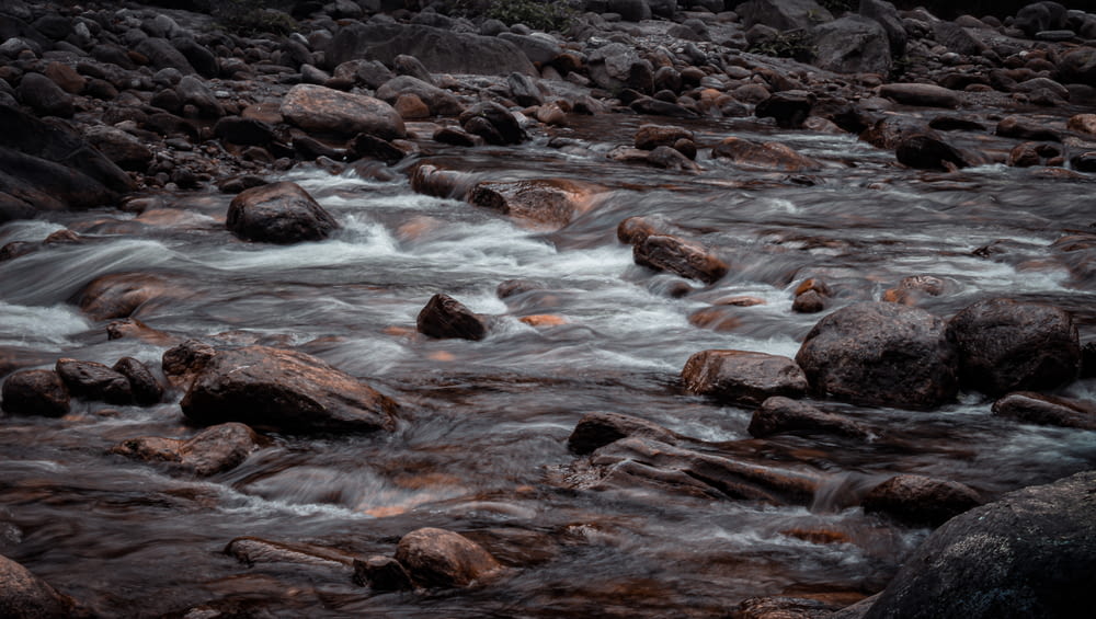 rocky river with rocks during daytime