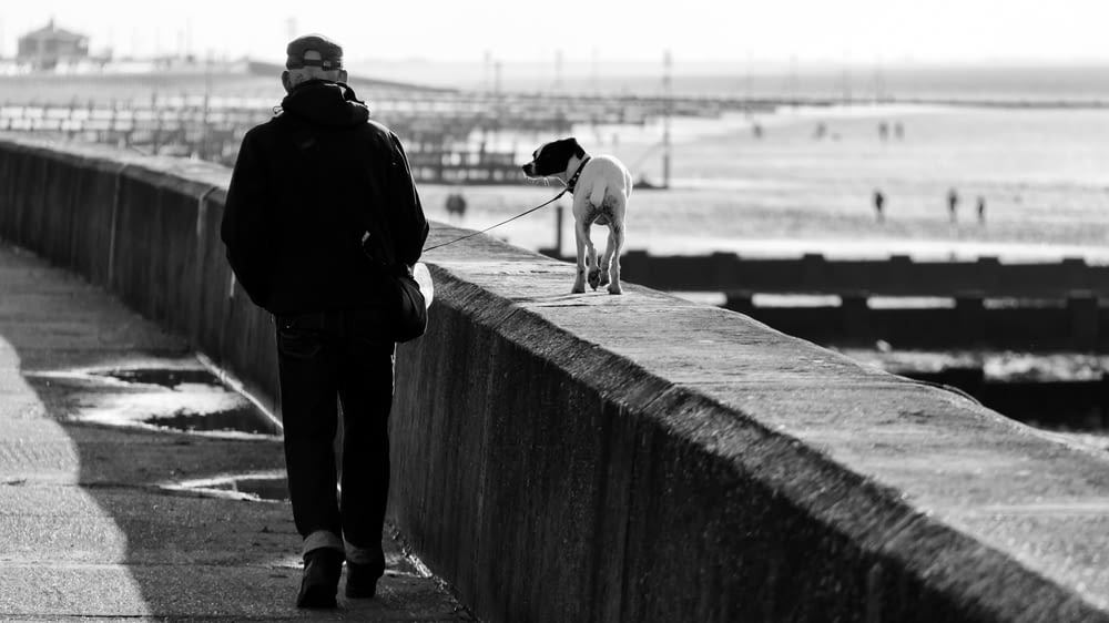 海の横のひもにつないで犬を散歩させる男