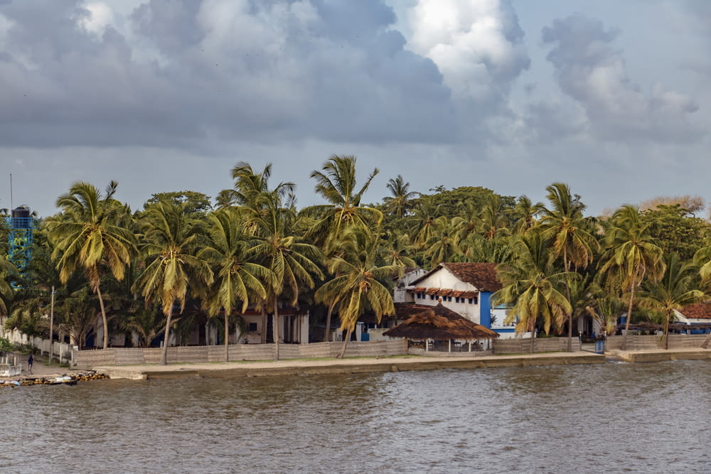 brown wooden house near palm trees and body of water during daytime