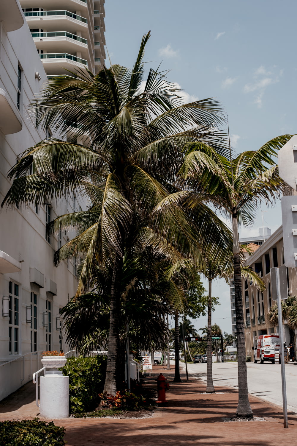 Palmiers près d’un bâtiment en béton blanc pendant la journée