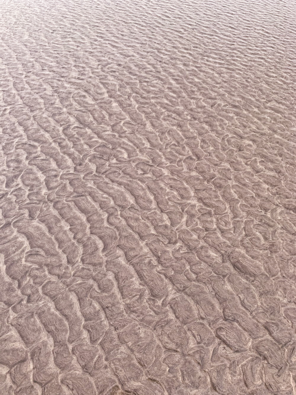 arena marrón durante el día