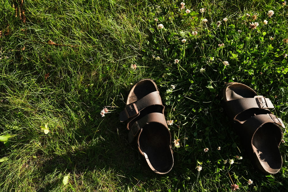 Sandalias de cuero negras y marrones sobre hierba verde