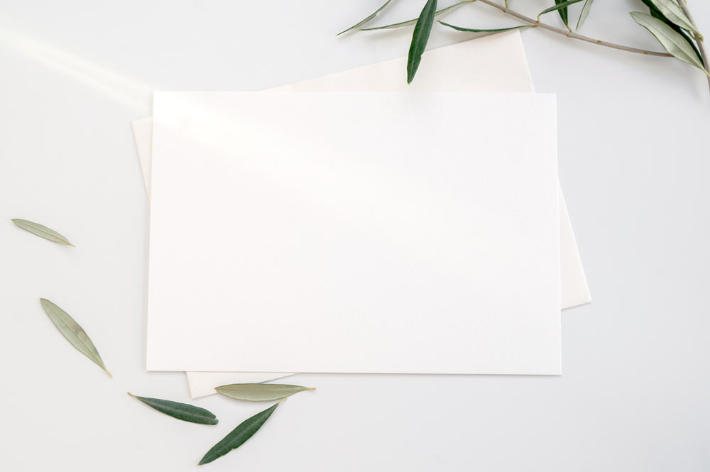 papel de impressora branco com folhas verdes