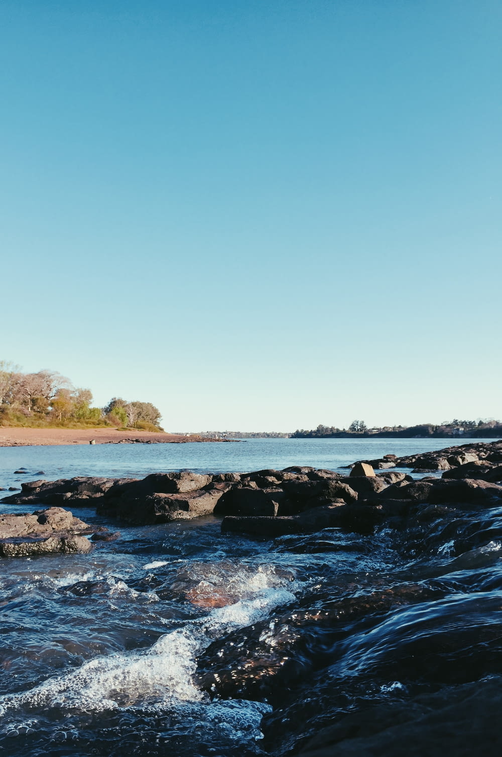 rocky shore with rocks and trees under blue sky during daytime