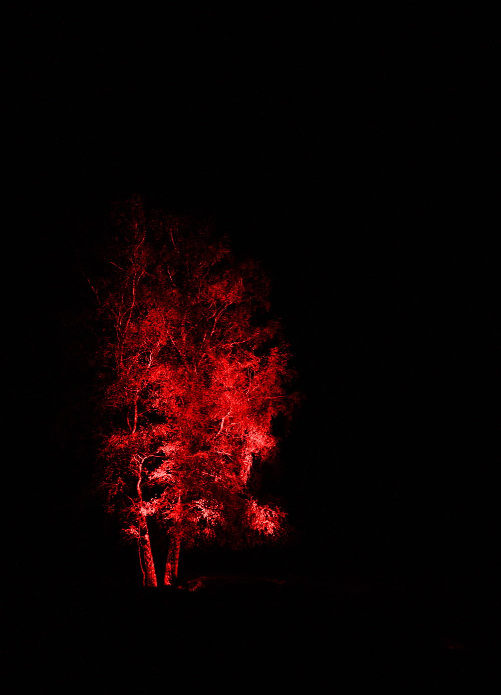 red and black fire during night time