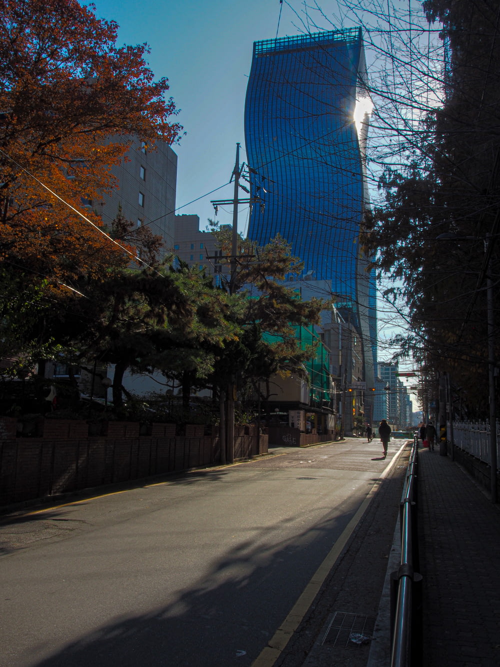 gray concrete road between trees and buildings during daytime