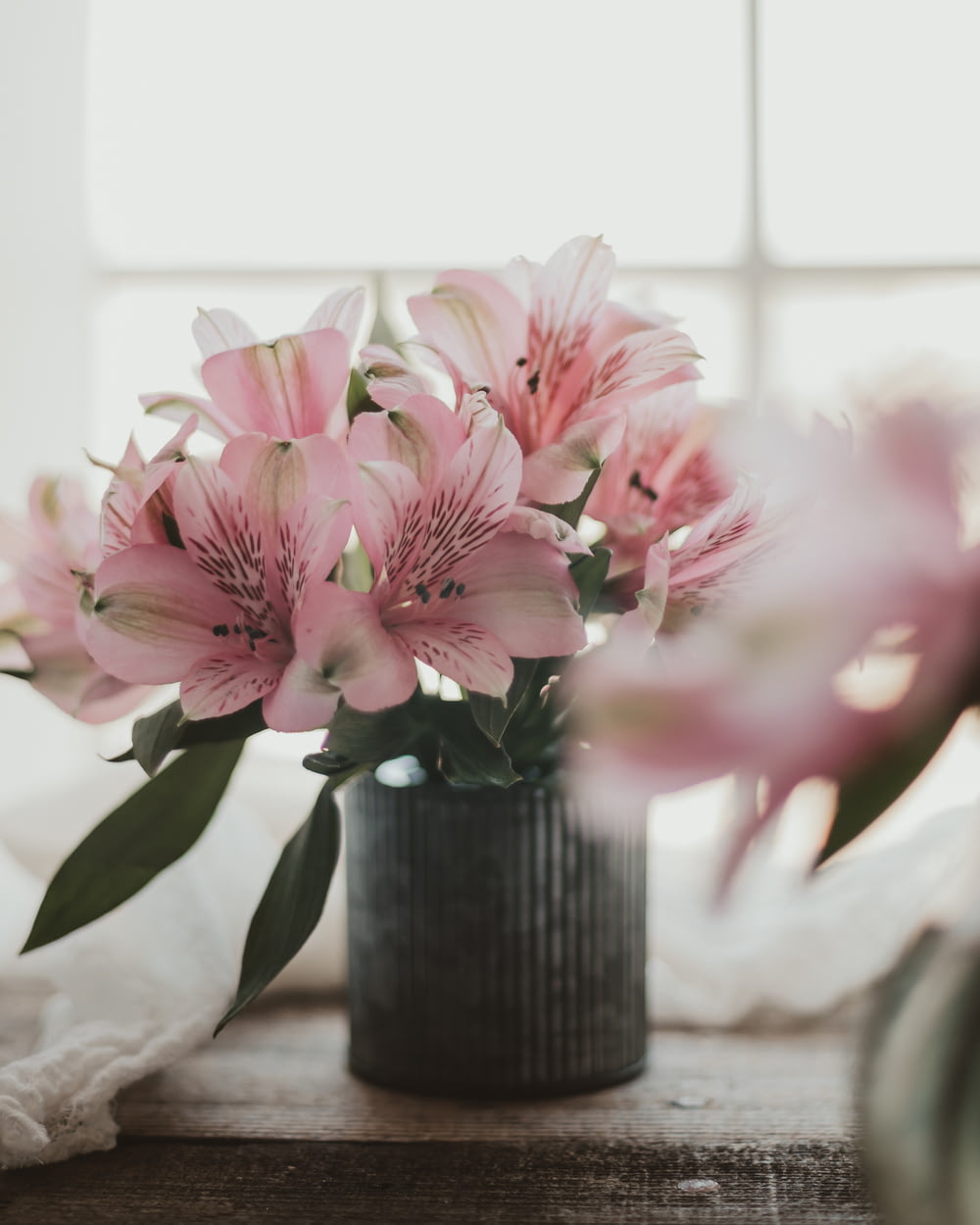 fiori rosa e bianchi in vaso di ceramica nera
