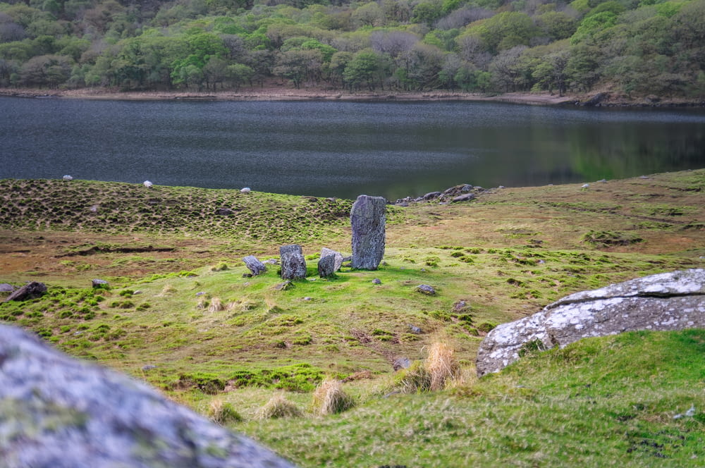 gray rock formation on green grass field near body of water during daytime