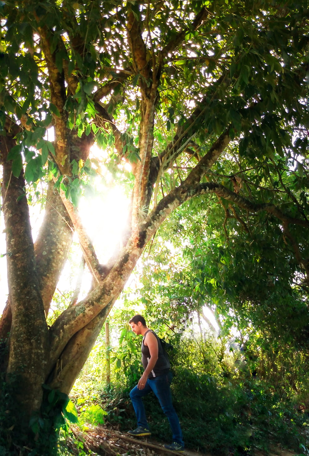 Mujer con camiseta sin mangas negra de pie bajo un árbol verde durante el día