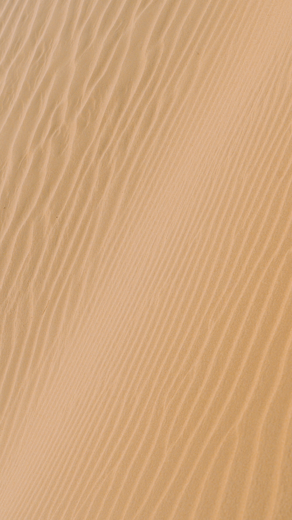 sabbia bianca con ombra di persona