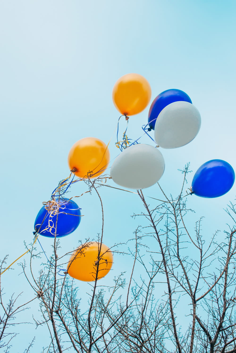 blue yellow and white balloons on bare tree during daytime