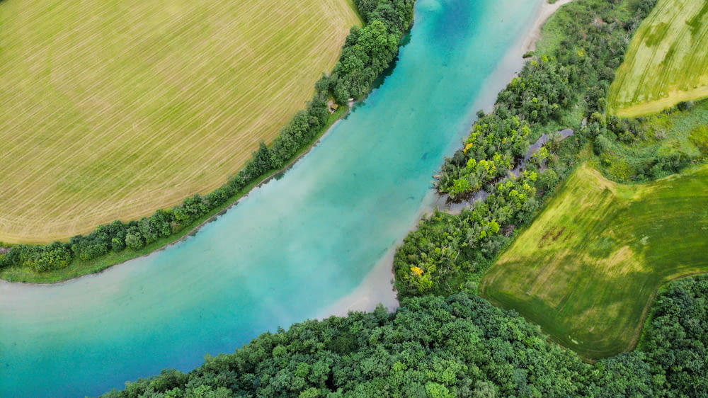aerial view of green trees and body of water
