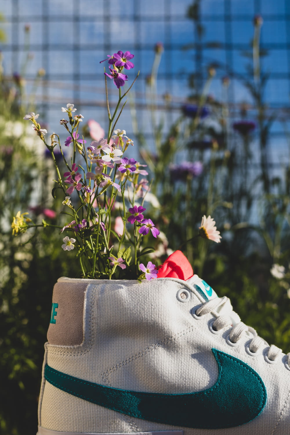 a pair of sneakers with flowers growing out of them