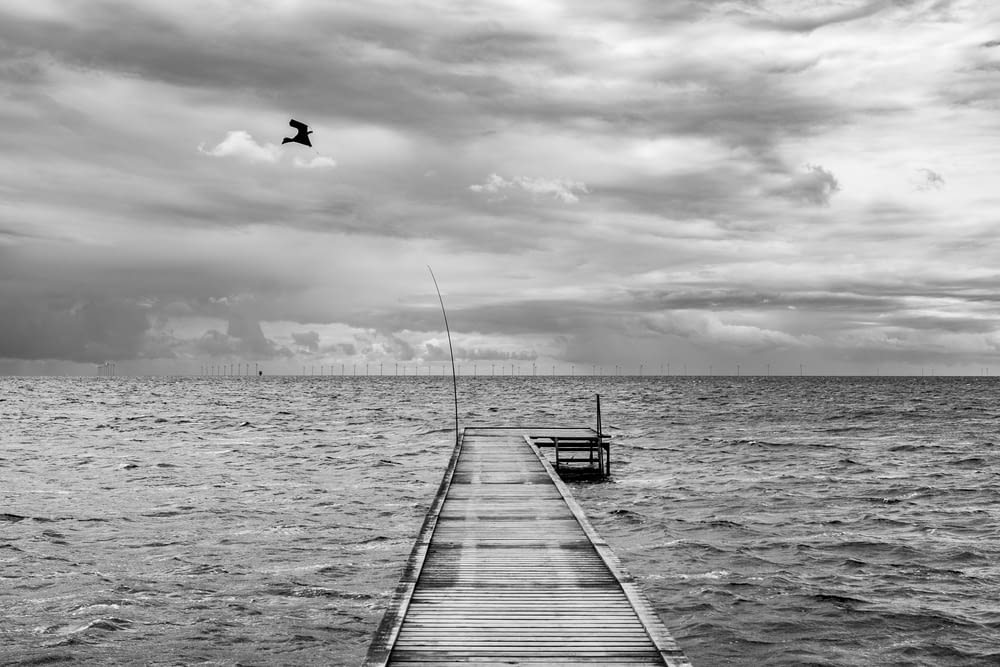 grayscale photo of a bird flying over the sea