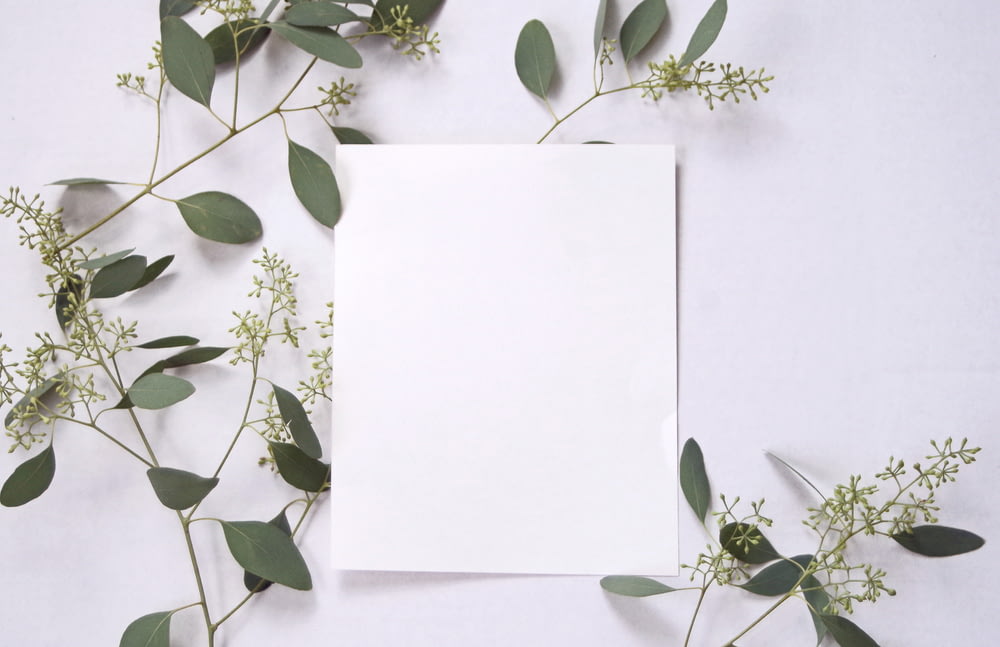 uma folha de papel branca cercada por vegetação