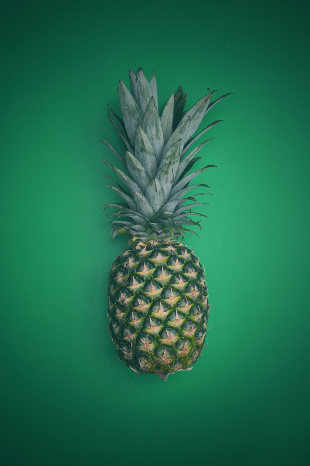 pineapple fruit on green surface