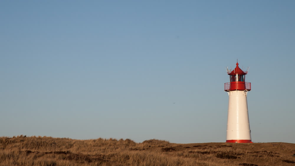 Braun-weißer Leuchtturm auf braunem Grasfeld unter blauem Himmel tagsüber