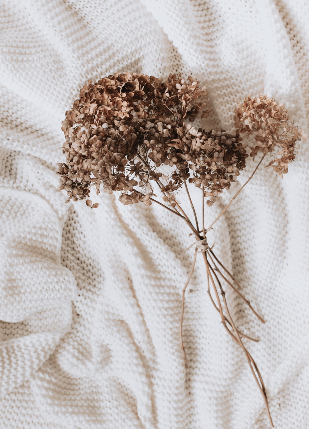 brown flowers on white textile