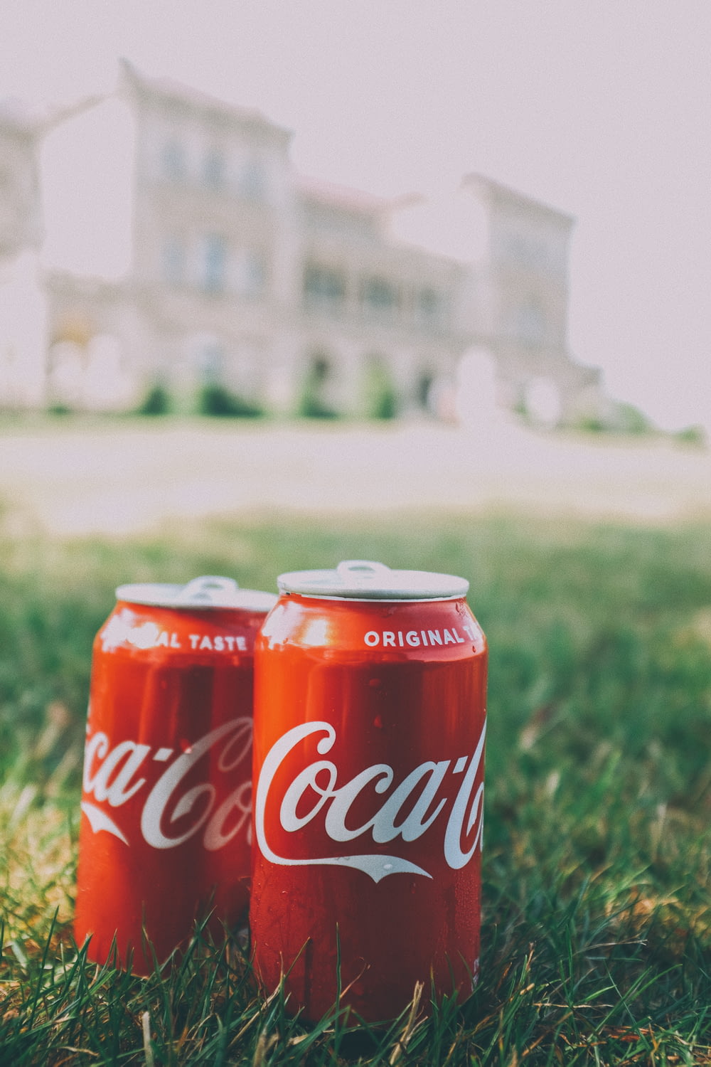 coca cola can on green grass during daytime