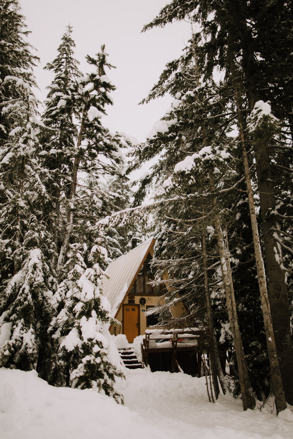 casa de madeira marrom no meio de árvores cobertas de neve