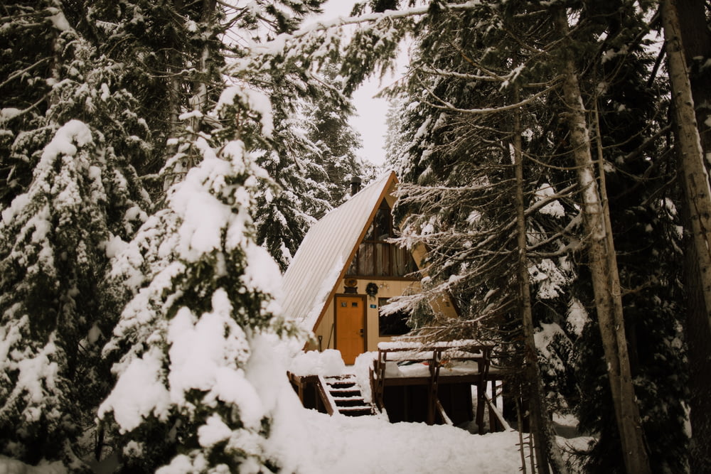 casa de madeira marrom coberta com neve perto de árvores durante o dia