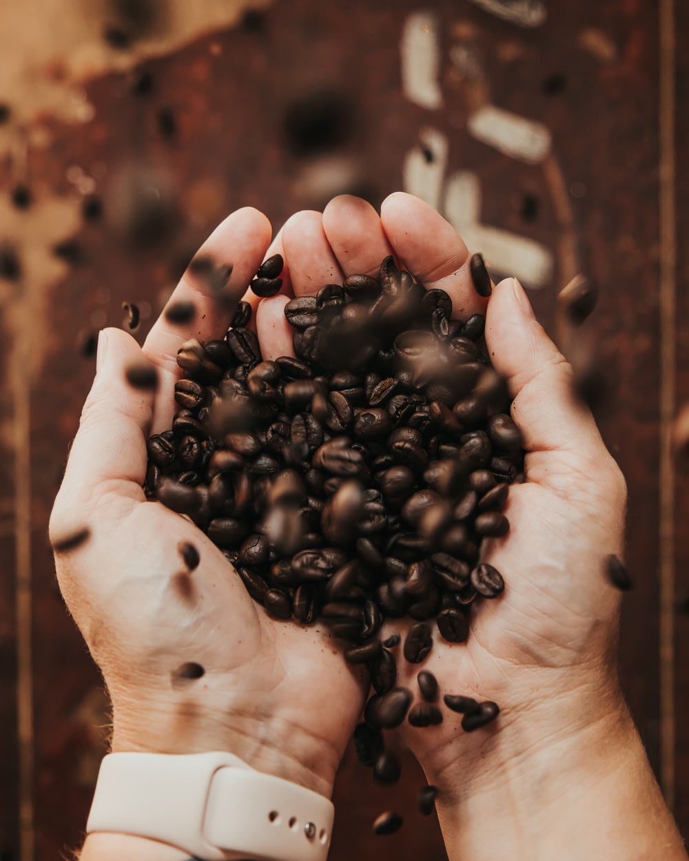 person holding coffee beans in grayscale photography