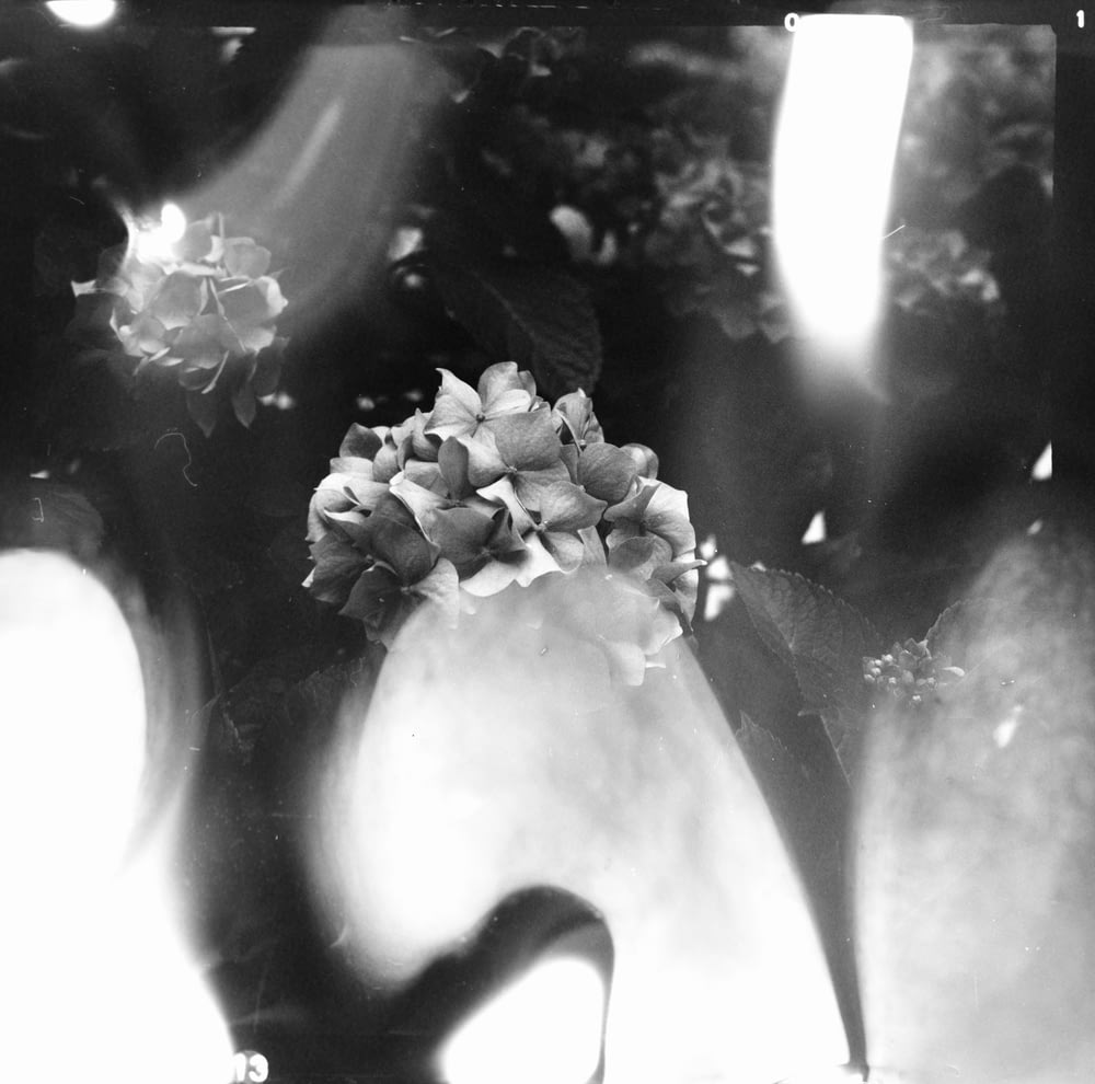 greyscale photo of flower bouquet