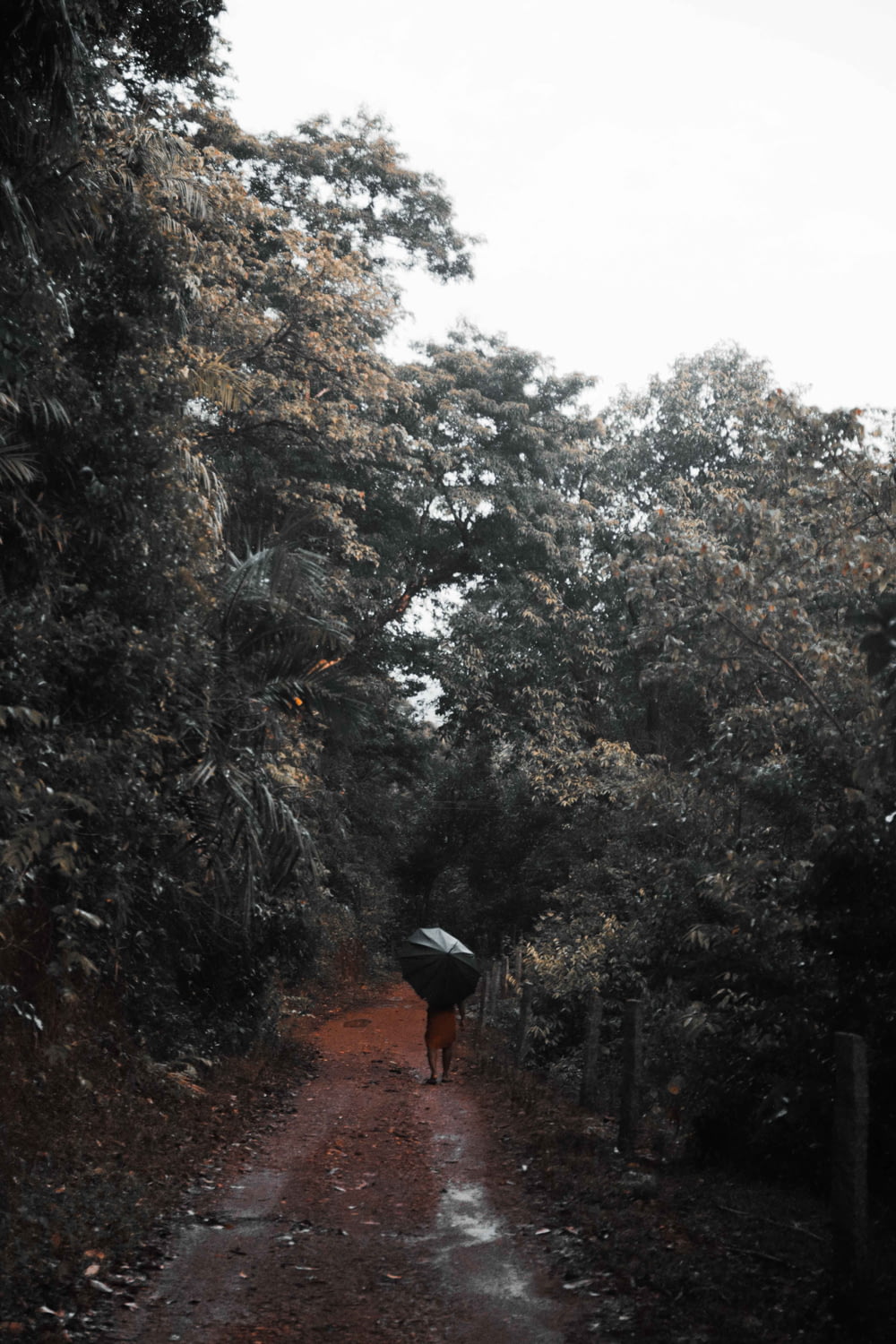 Persona con chaqueta negra y mochila roja caminando por el camino entre árboles verdes durante el día