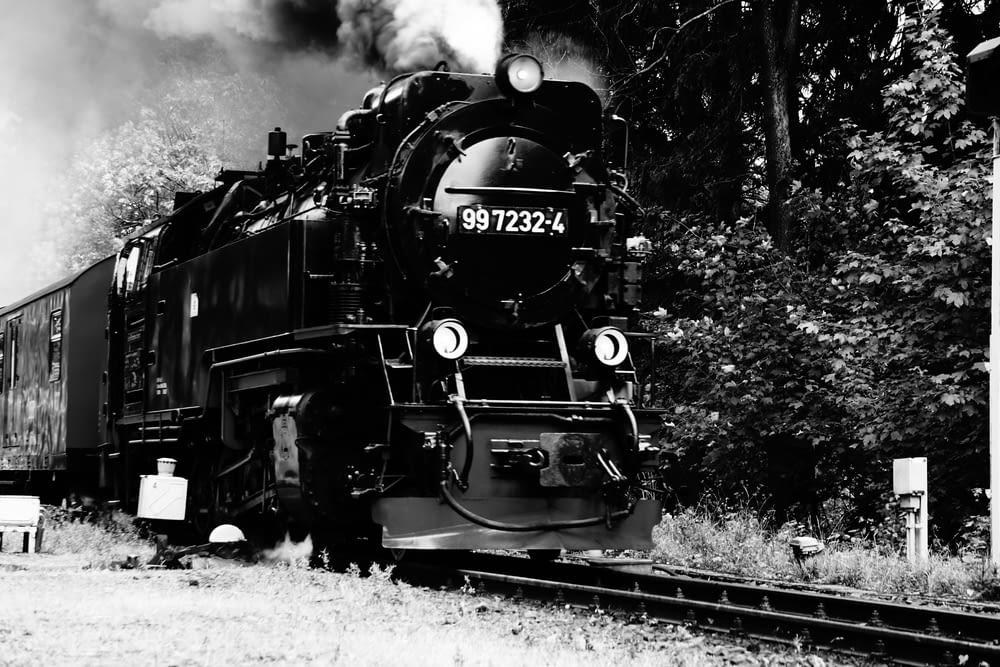 grayscale photo of train in forest