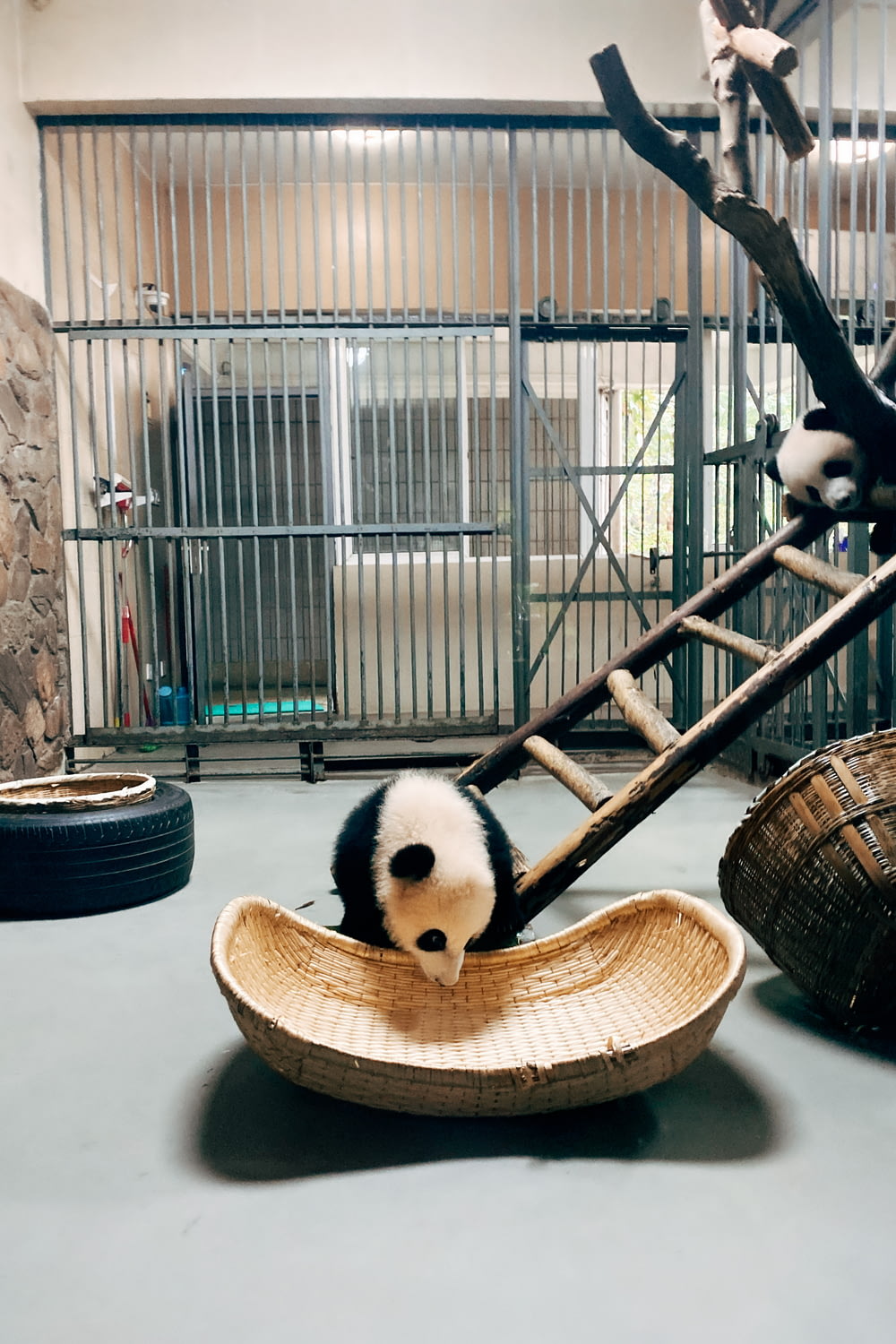 brinquedo de pelúcia do panda na cesta de madeira marrom
