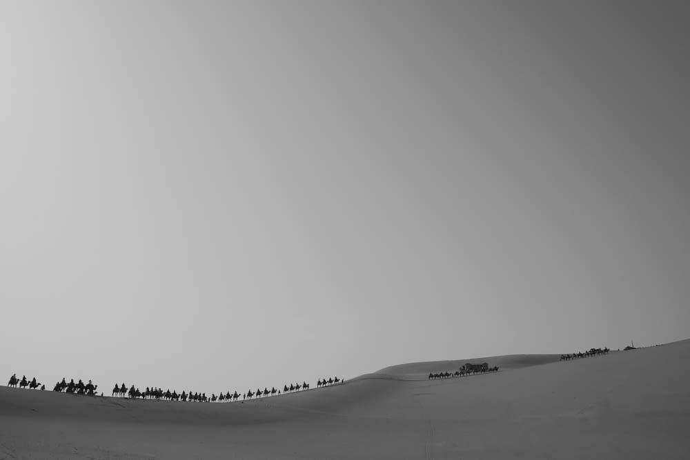 昼間、雪原を歩く人々