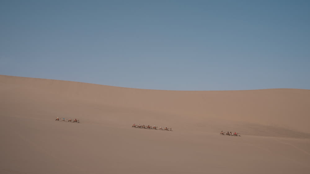 昼間、砂漠を歩く人々