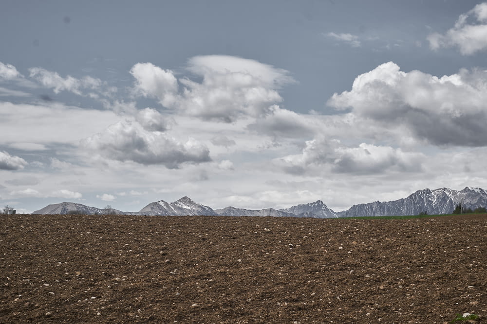 brown field under white clouds during daytime