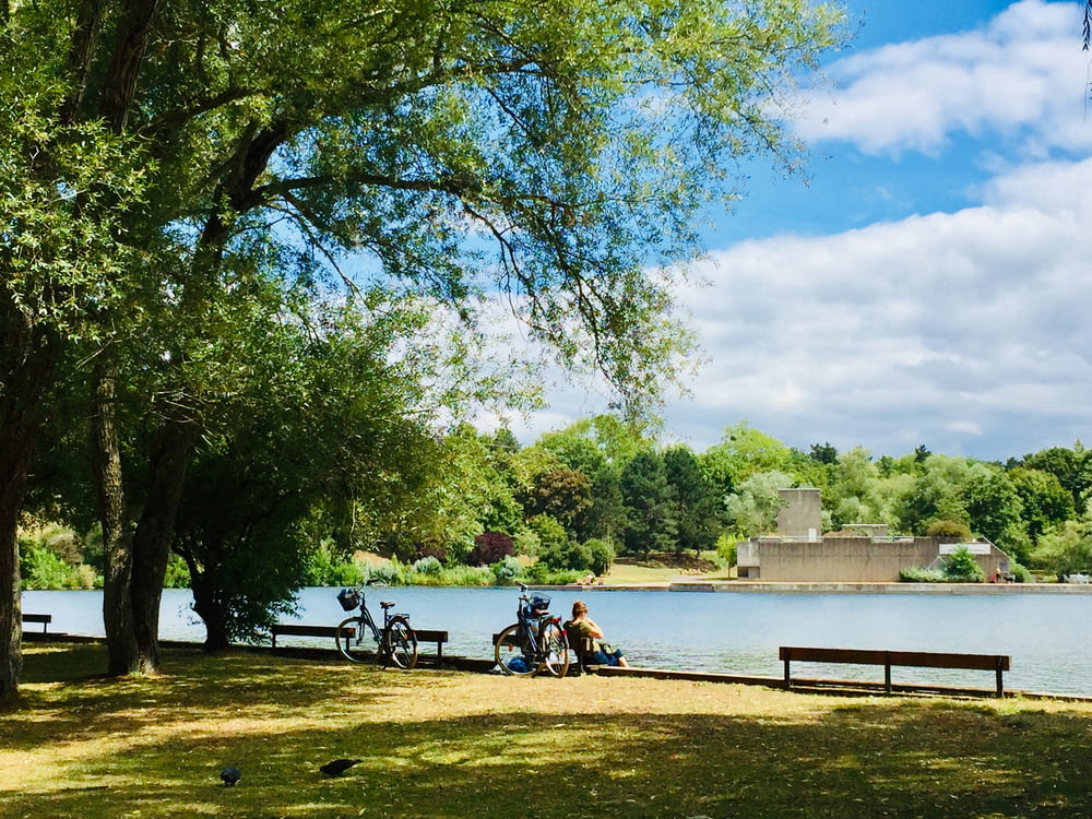 people sitting on bench near body of water during daytime