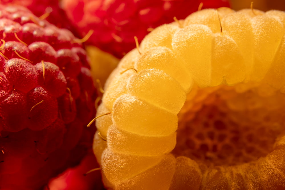 yellow and red fruit in close up photography