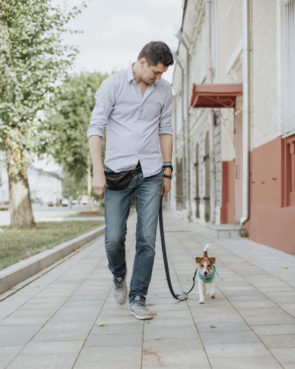 Homme en polo blanc et jean en jean bleu tenant un chien brun