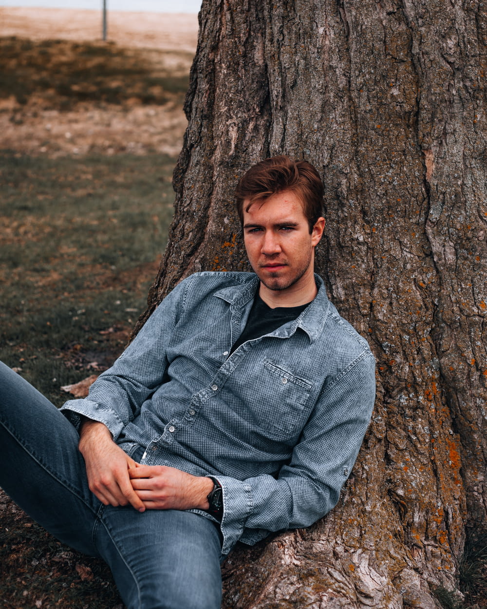 man in gray dress shirt and blue denim jeans sitting on tree