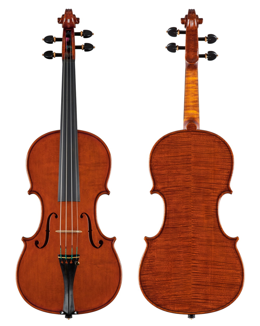 白い背景に茶色のバイオリン