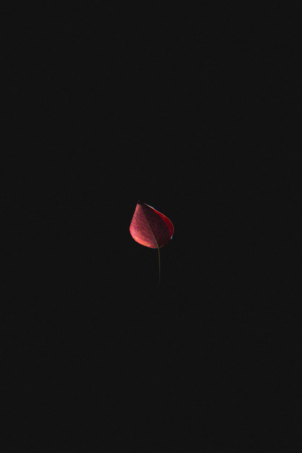 red heart balloon in dark room