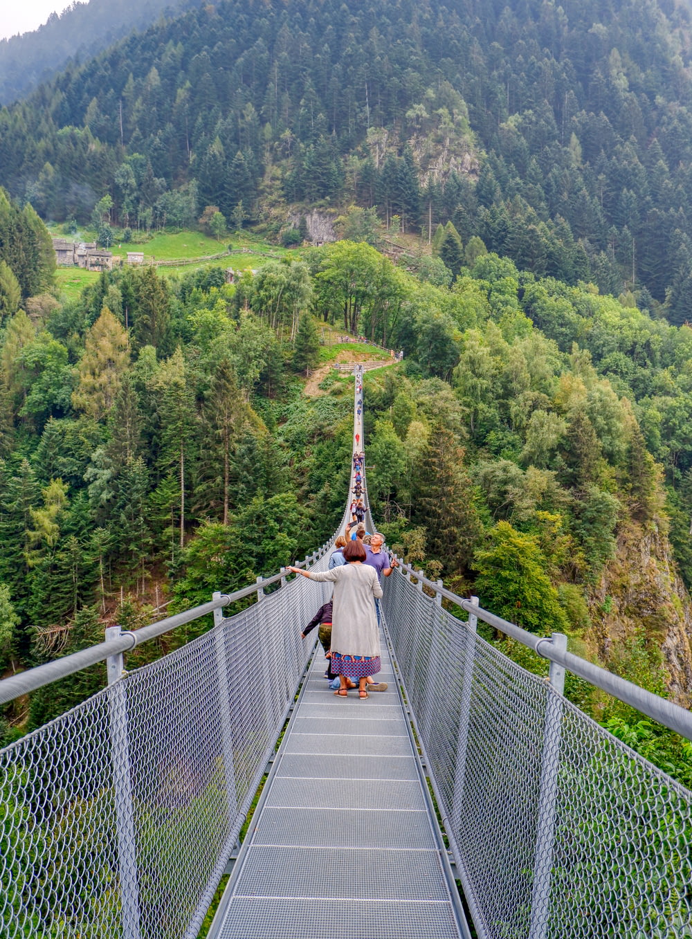 people walking on hanging bridge over green trees during daytime