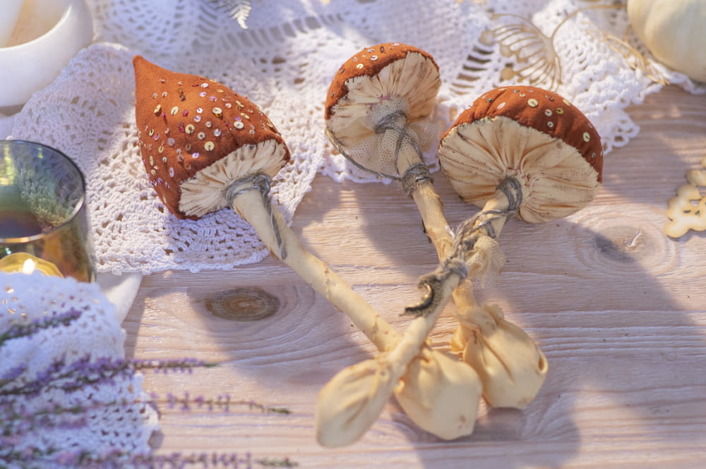 cogumelos castanhos e brancos sobre tecido branco
